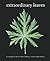 Extraordinary Leaves