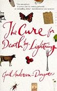 The Cure for Death by Lightning 