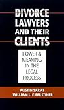 Divorce Lawyers and Their Clients: Power and Meaning in the Legal Process