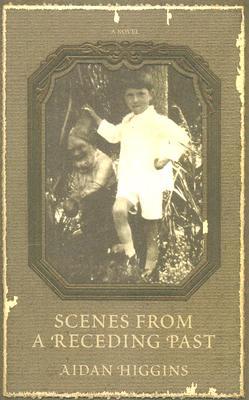 Scenes from a Receding Past (Irish Literature)