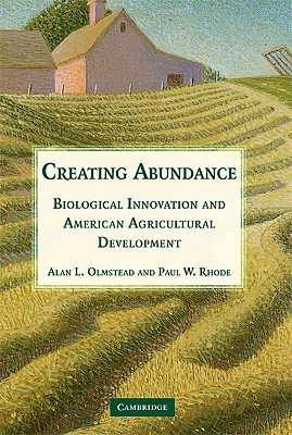 Creating Abundance (Paperback)