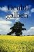 Dealul galben