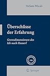 Überschüsse der Erfahrung: Grenzdimensionen des Ich nach Husserl (Phaenomenologica, 186) (German Edition)