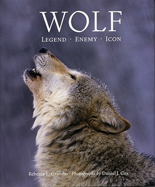 Wolf: Legend, Enemy, Icon (Paperback)