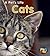 Cats (A Pet's Life)