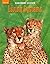 Science, Grade 5 Unit Book a: Harcourt School Publishers Science (Science 02)