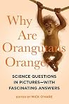 Why Are Orangutan...