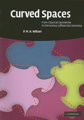 Curved Spaces: From Classical Geometries to Elementary Differential Geometry (Paperback)