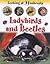 Ladybirds and Beetles