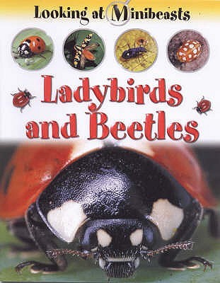 Ladybirds and Beetles (Paperback)