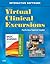 Virtual Clinical Excursions 3.0 for Basic Nursing