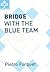 Bridge with the Blue Team by Pietro Forquet