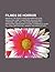 Filmes de Horror: Shaun of the Dead, a Noite DOS Mortos-Vivos, Apocalipse Zumbi, a Nightmare on Elm Street, Christine, Cubo, Ash J. Williams