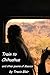 Train To Chihuahua And Other Poems Of Mexico