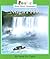 Niagara Falls (Rookie Read-About Geography)