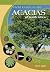 Field Guide to the Acacias ...