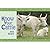 Know Your Cattle (Old Pond Books)