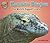 Komodo Dragon - Non-Fiction Reading About Large Animals for Grade 2, Developmental Learning for Young Readers - SuperSized!