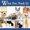 What Pets Teach Us: Life's Lesson Learned from Our Little Friends