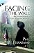 Facing The Wall: An Infantryman's Post-vietnam Memoir
