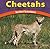 Cheetahs: Spotted Speedsters (Wild World of Animals)