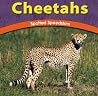 Cheetahs: Spotted Speedsters (Wild World of Animals) Cheetahs: Spotted Speedsters (Wild World of Animals)