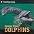 Dolphins