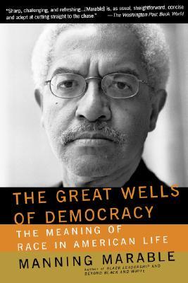 The Great Wells Of Democracy: The Meaning Of Race In American Life (Paperback)