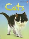 Cats (Usborne Beginners, Level 1)