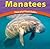 Manatees: Peaceful Planteaters