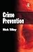 Crime Prevention (Criminal Justice Series)