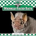 Wrinkle-faced Bats