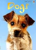 Dogs