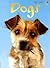 Dogs (Usborne Beginners: In...