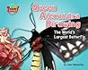 Queen Alexandra's Birdwing: The World's Largest Butterfly (Supersized!)