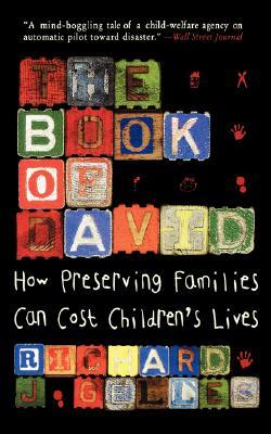 The Book of David: How Preserving Families Can Cost Children's Lives (Paperback)