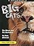 Big Cats