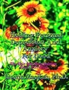 Healing Personal Depression And Anxiety For Good