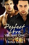 Perfect Love Volume One by Trina Lane