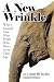 A New Wrinkle: What I Learned from Older People Who Never Acted Their Age