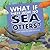 What If There Were No Sea Otters?: A Book About the Ocean Ecosystem (Food Chain Reactions)