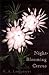 Night-Blooming Cereus: Stories (Volume 1)