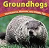 Groundhogs: Woodchucks, Marmots, and Whistle Pigs (Wild World of Animals) Groundhogs: Woodchucks, Marmots, and Whistle Pigs (Wild World of Animals)