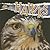 Hawks (Raptors (Rourke Library)