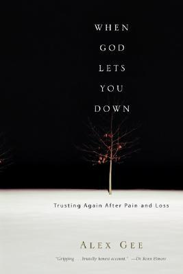 When God Lets You Down: Trusting Again After Pain and Loss (Paperback)