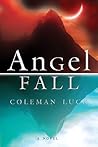 Angel Fall: A Novel