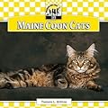 Maine Coon Cats