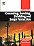 Practical Grounding, Bonding, Shielding and Surge Protection (Practical Professional Books)