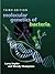 Molecular Genetics of Bacteria