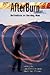 AfterBurn by Lee M. Gilmore